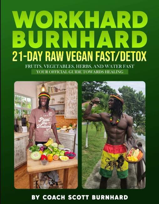 WorkHard BurnHard - 21-Day Raw Vegan Fast Detox (E BOOK)